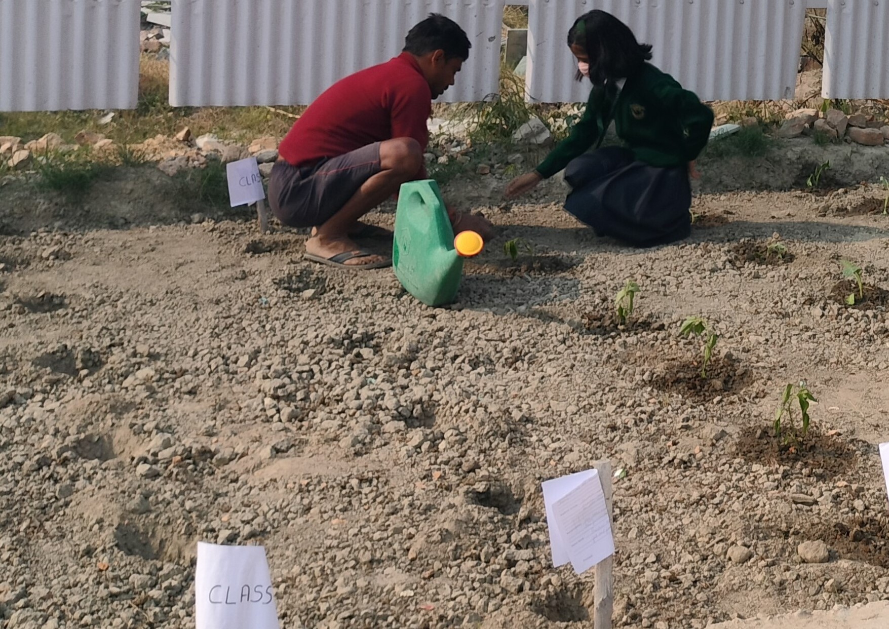 Kitchen Garden at DPS Muzaffarpur (Nov. 24, 2022)